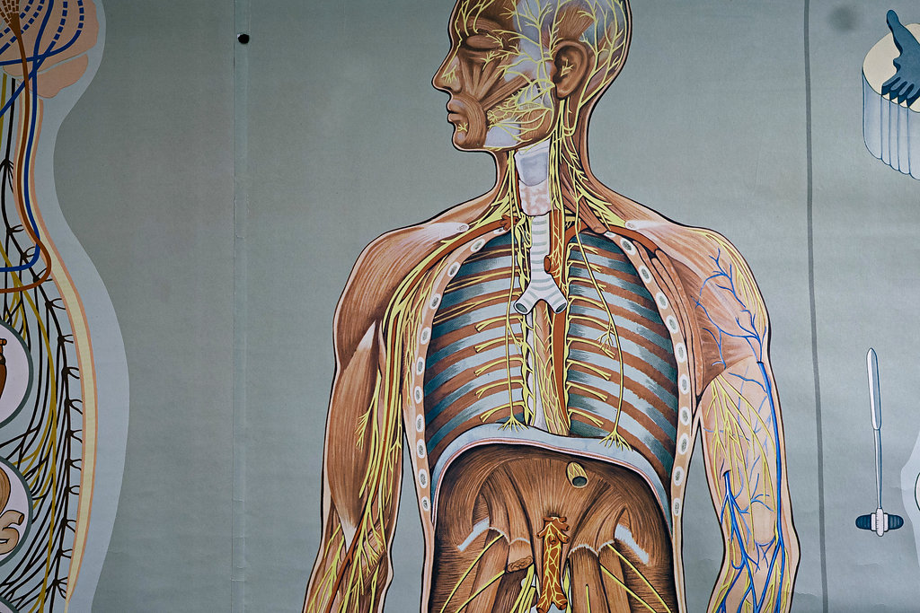Danny Armitage - Pimlico Physio